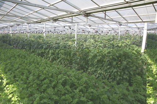 農(nóng)光互補(bǔ)光伏電站