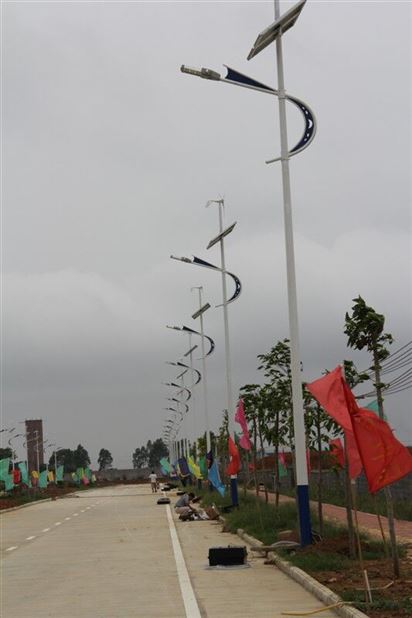 太陽(yáng)能路燈案例