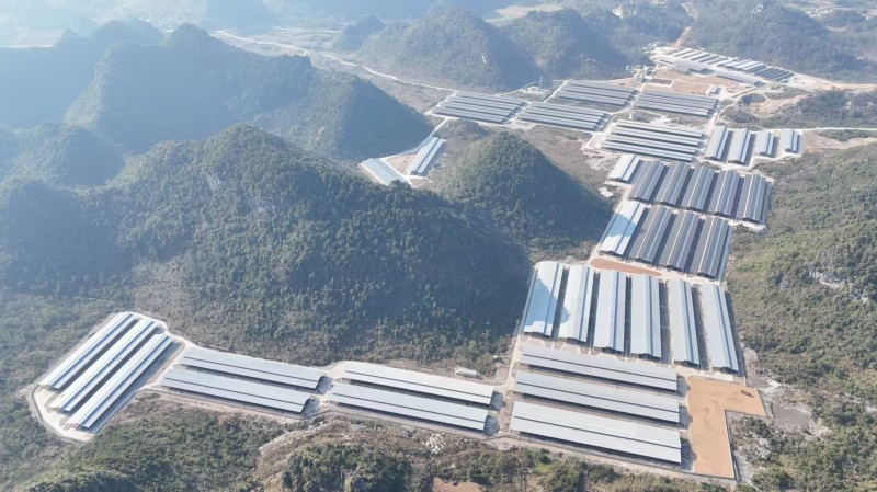 集中式光伏電站案例